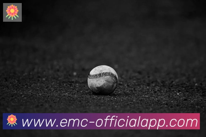 EMC易倍体育APP 封面图